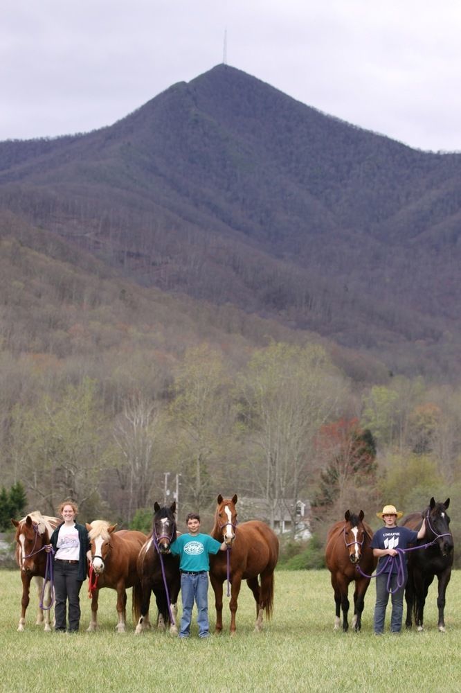 Отель Pisgah View Ranch Candler Экстерьер фото