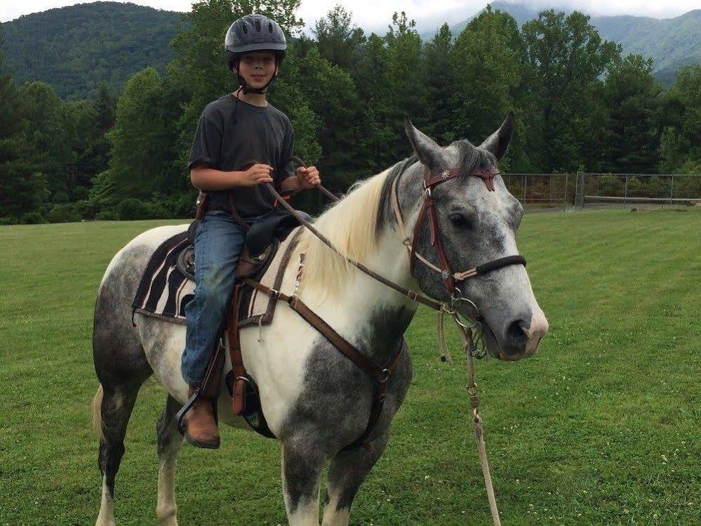 Отель Pisgah View Ranch Candler Экстерьер фото